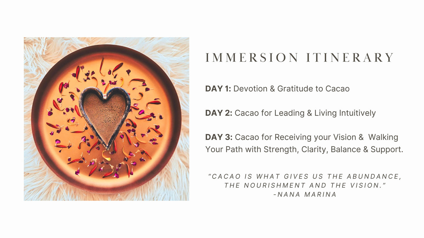 Online Immersion with the Spirit of Cacao
