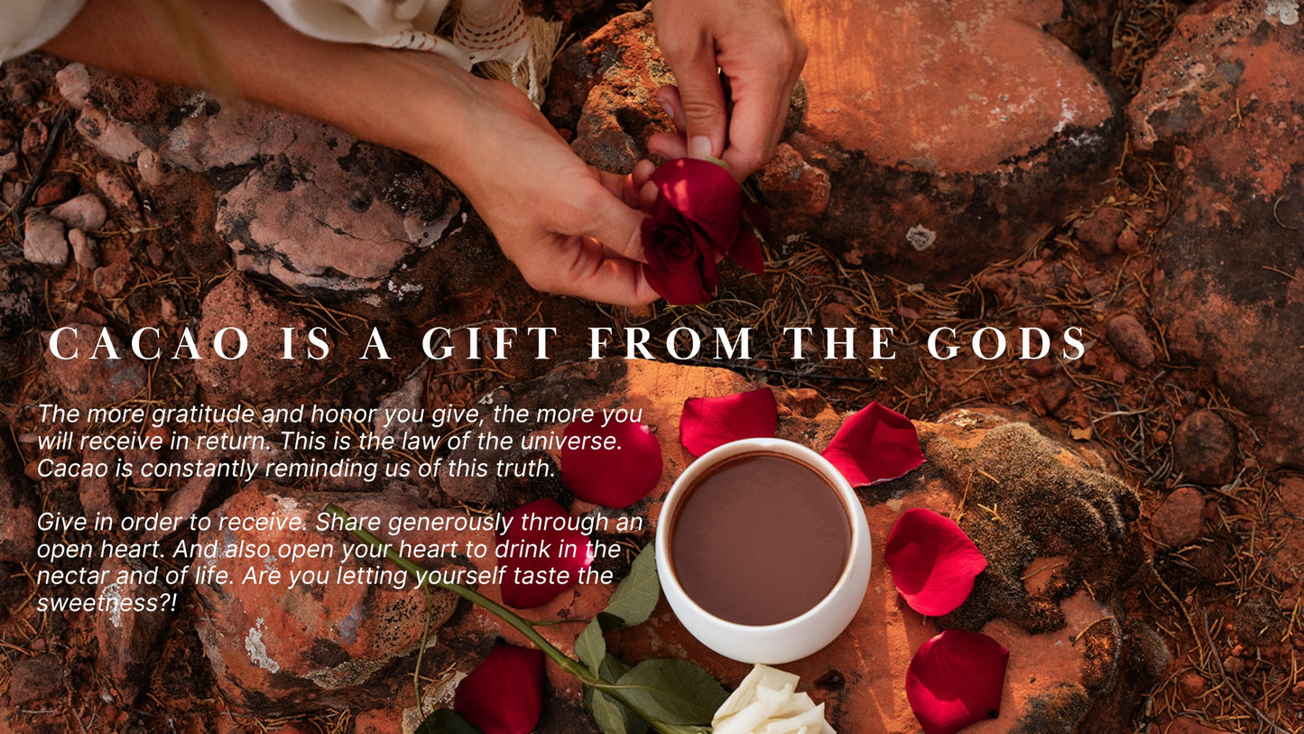 Online Immersion with the Spirit of Cacao